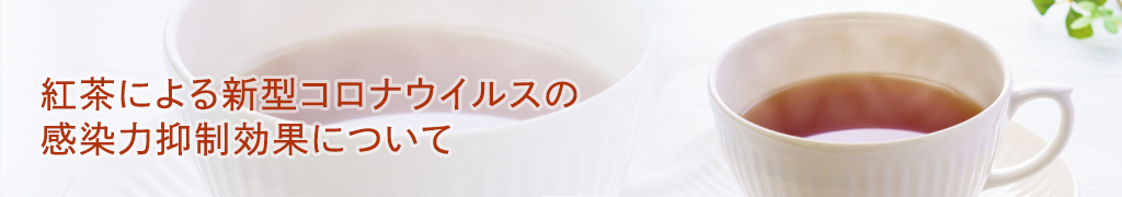 紅茶による新型コロナウイルスの感染力抑制効果について