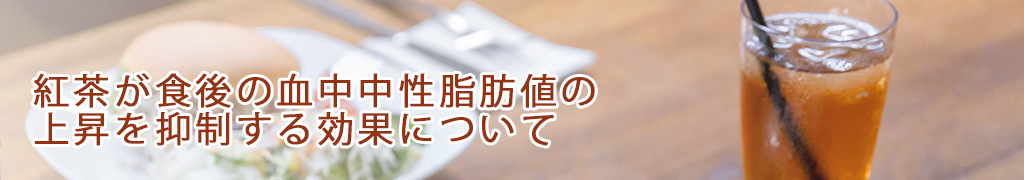 紅茶が食後の血中中性脂肪値の上昇を抑制する効果について