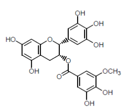 （図１）メチル化カテキンの構造式